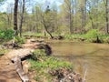 Buckquarter Creek Trail in Eno River State Park